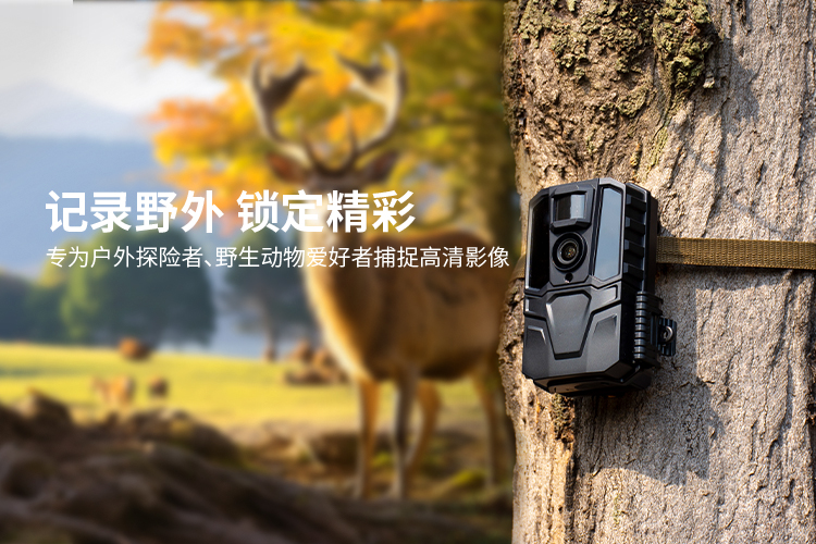 公海彩船6600(中国游)官方网站
